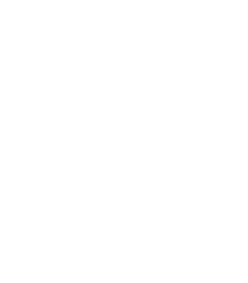 XYZ Legal Consultant